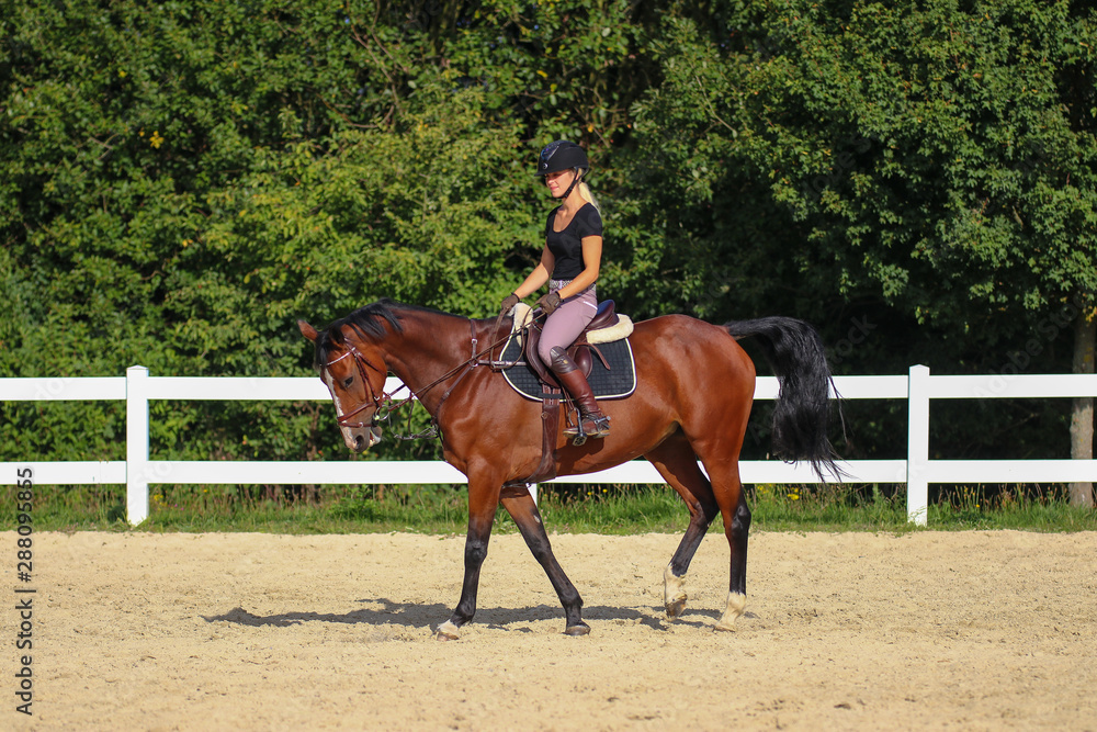 Horse with his young blond horsewoman riding in the riding arena in the sunshine.. Horse with his young blond horsewoman riding in the riding arena in the sunshine..