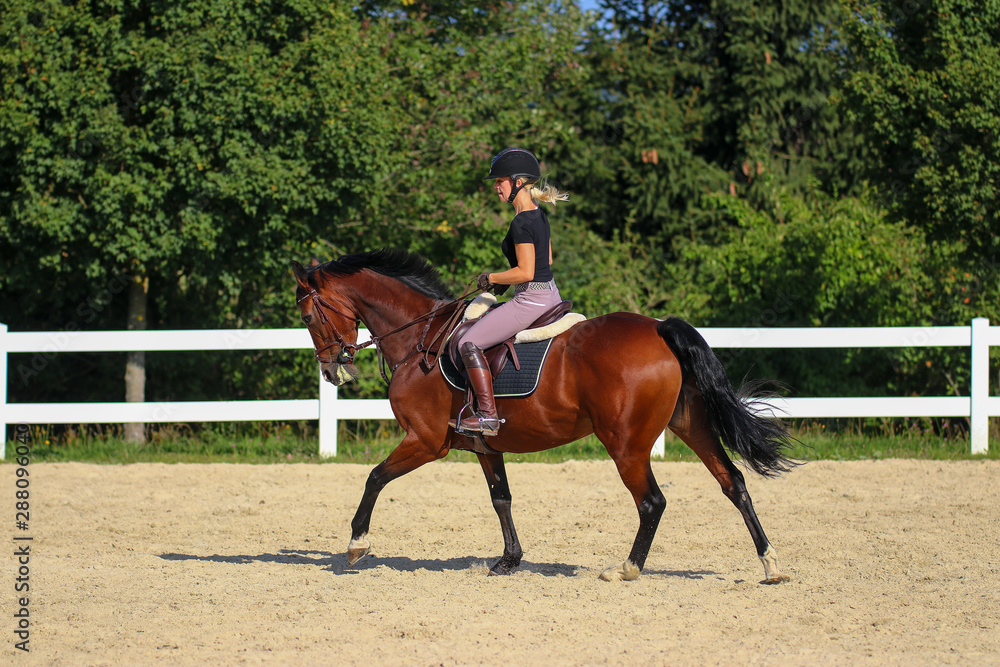 Horse with his young blond horsewoman riding in the riding arena in the sunshine.. Horse with his young blond horsewoman riding in the riding arena in the sunshine..