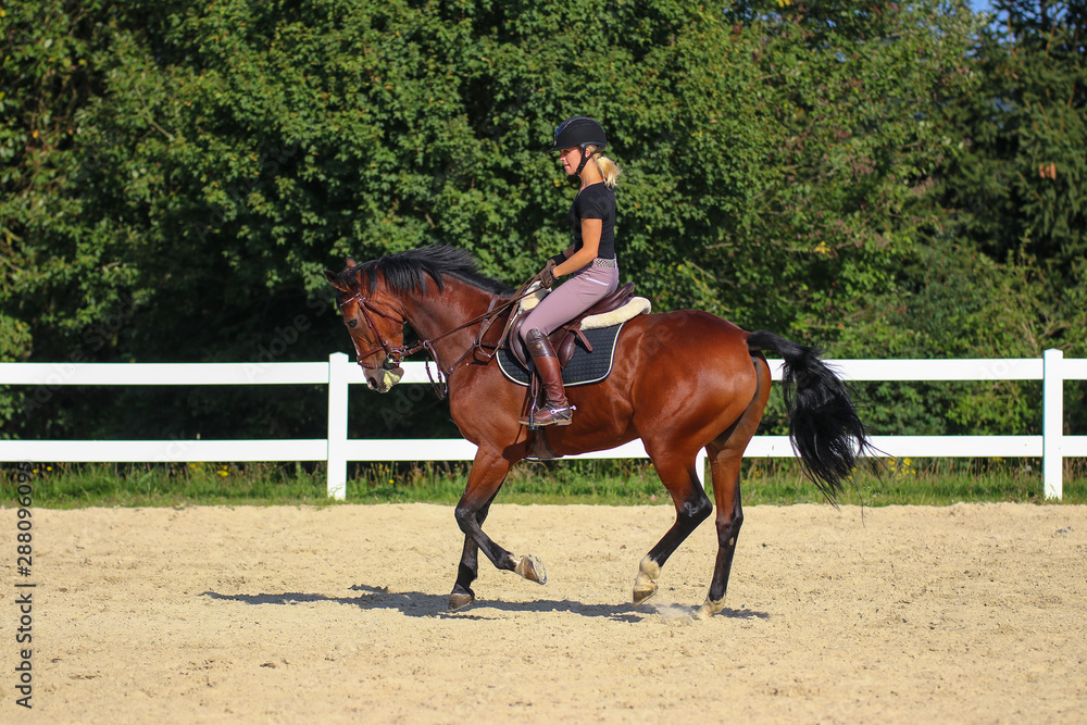 Horse with his young blond horsewoman riding in the riding arena in the sunshine.. Horse with his young blond horsewoman riding in the riding arena in the sunshine..