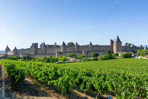Foto Champagne vineyards at Carcassonne background