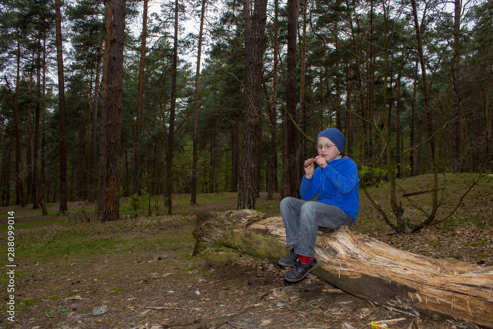 boy sitting in forest eating,a little boy alone in the woods dinner sitting on an old tree and eating chocolate boy sitting in forest eating,a little boy alone in the woods dinner sitting on an old tree and eating chocolate
