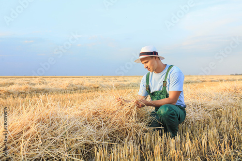 Male farmer working in wheat field © Pixel-Shot
