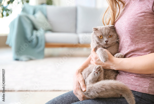 Cute cat with owner at home