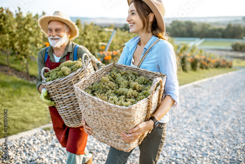 Fotografía Cheerful senior man with young woman carrying baskets full of freshly picked up wine grapes on the vineyard, harvesting fresh crop