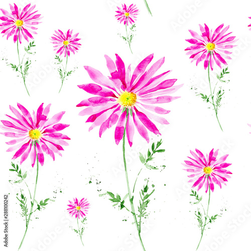 Abstract watercolor pink Chamomile pyrethrum illustration. Isolated on white background.Seamless pattern