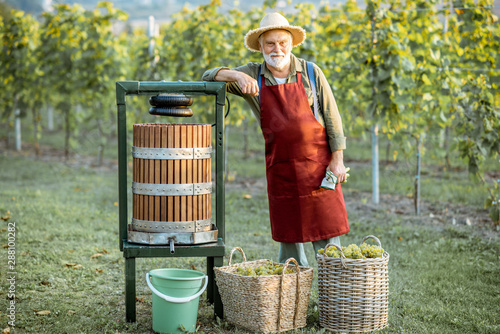 Canvas Print Portrait of a senior well-dressed winemaker standing near the winepress machine and baskets full of grapes on the vineyard