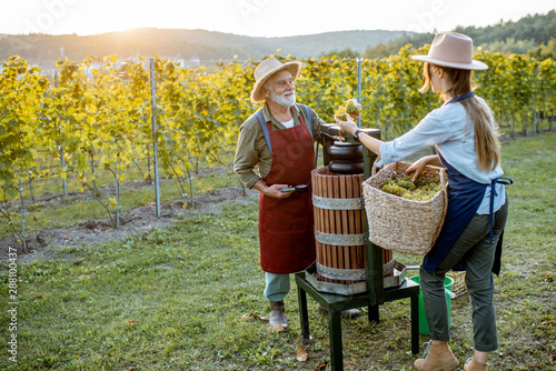 Bild auf Leinwand Senior man and young woman as winemakers squeezing grapes with press machine on