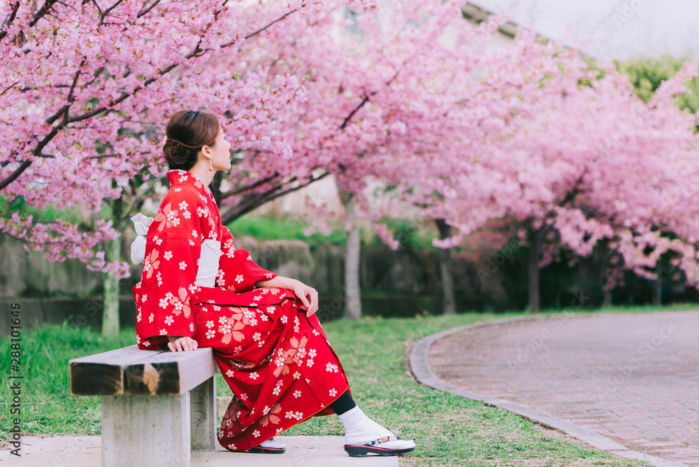 Asian woman wearing kimono with cherry blossoms,sakura in Japan. Asian woman wearing kimono with cherry blossoms,sakura in Japan.