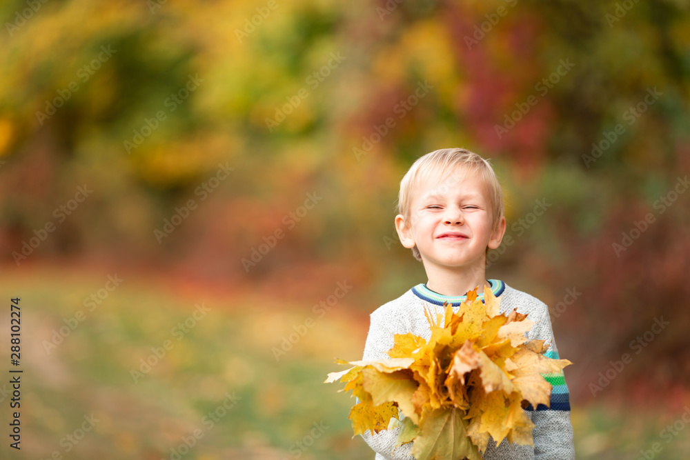Happy little boy with autumn leaves in the park Happy little boy with autumn leaves in the park