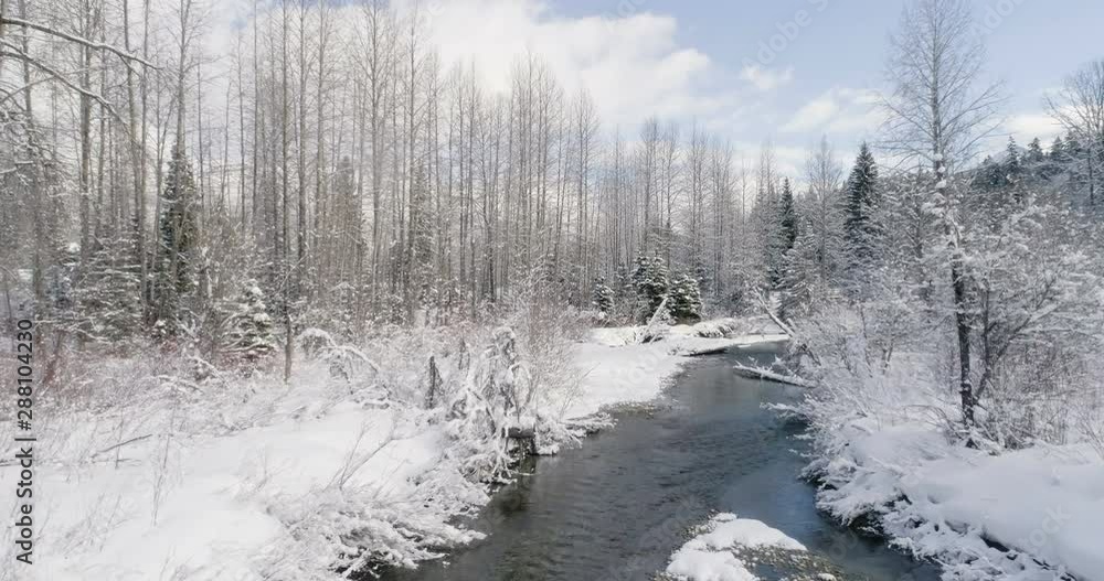 Peaceful Creek On A Sunny Winter Day Peaceful Creek On A Sunny Winter Day