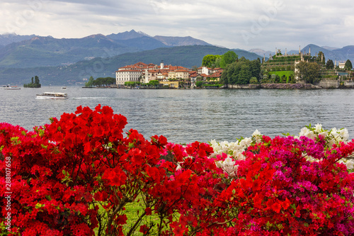 Isola bella island lake view with flowers, Lombardy, Italy © Travel Faery