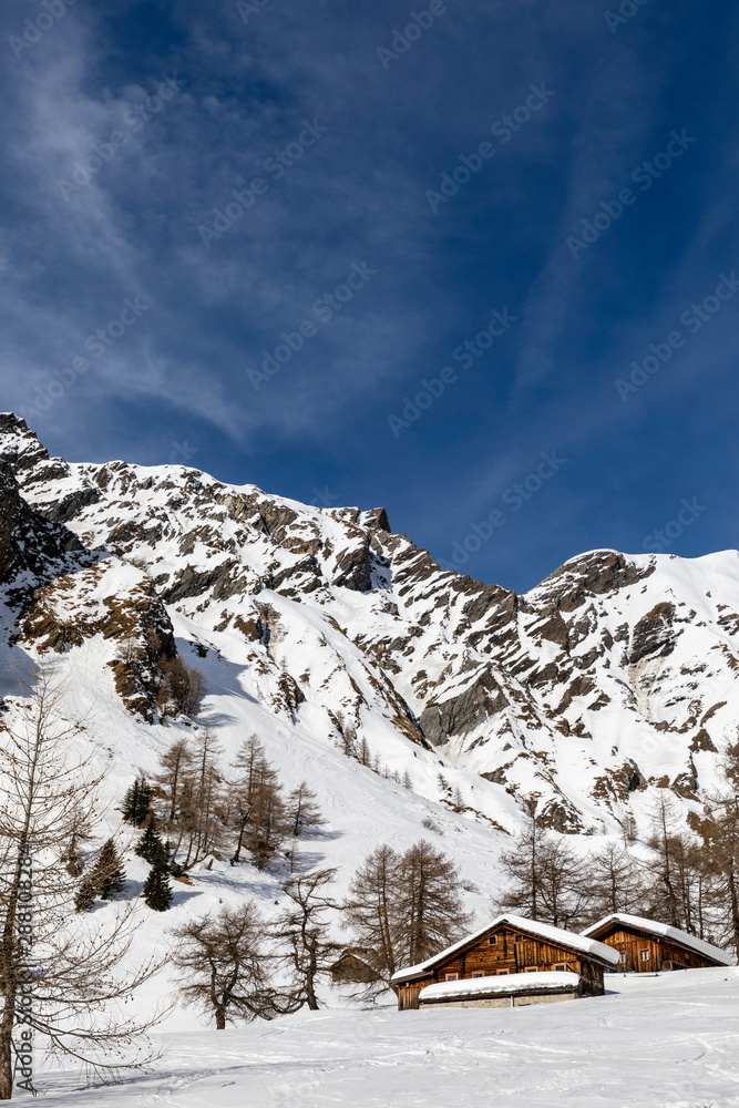Remote alpine farms in winter
