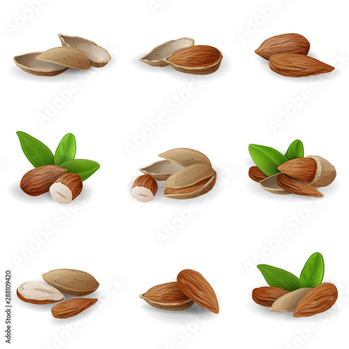 Almond icons set. Cartoon set of almond vector icons for web design