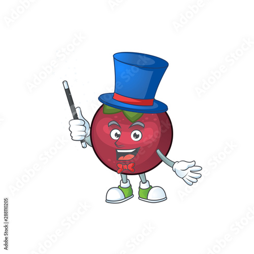 Magician cartoon mangosteen isolated on white background