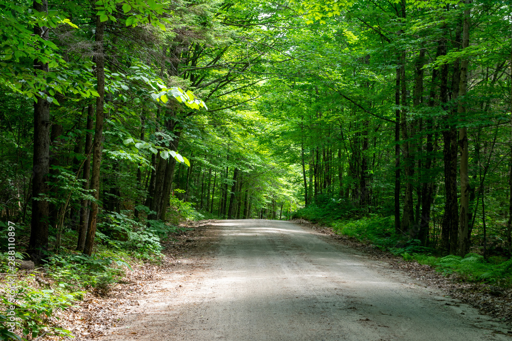 Obraz premium Back Country Road