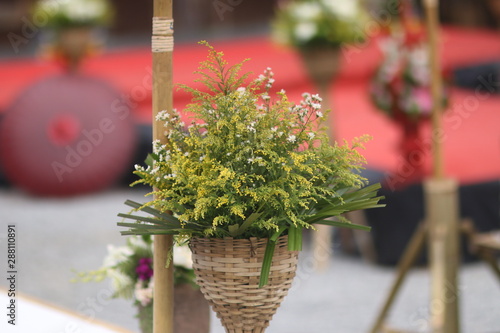 a flowers plant garden green 