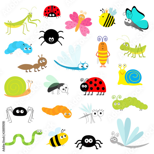 Insect icon set. Mantis Lady bug Mosquito Butterfly Bee Grasshopper Beetle Caterpillar Spider Cockroach Fly Snail Dragonfly Ant Lady bird Worm. Cute cartoon kawaii funny doodle character. Flat design.