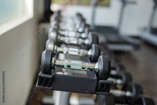 Dumbbells in gym. Close up many dumbbells in sport fitness centre.