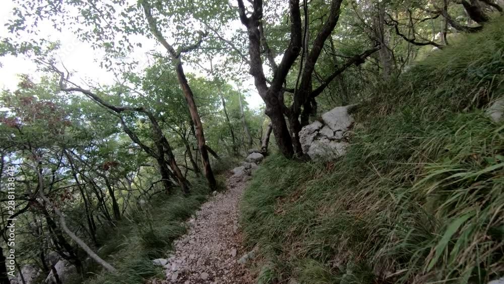 Hiking downhill through forest rocky path from Nanos Slovenia mountain Hiking downhill through forest rocky path from Nanos Slovenia mountain