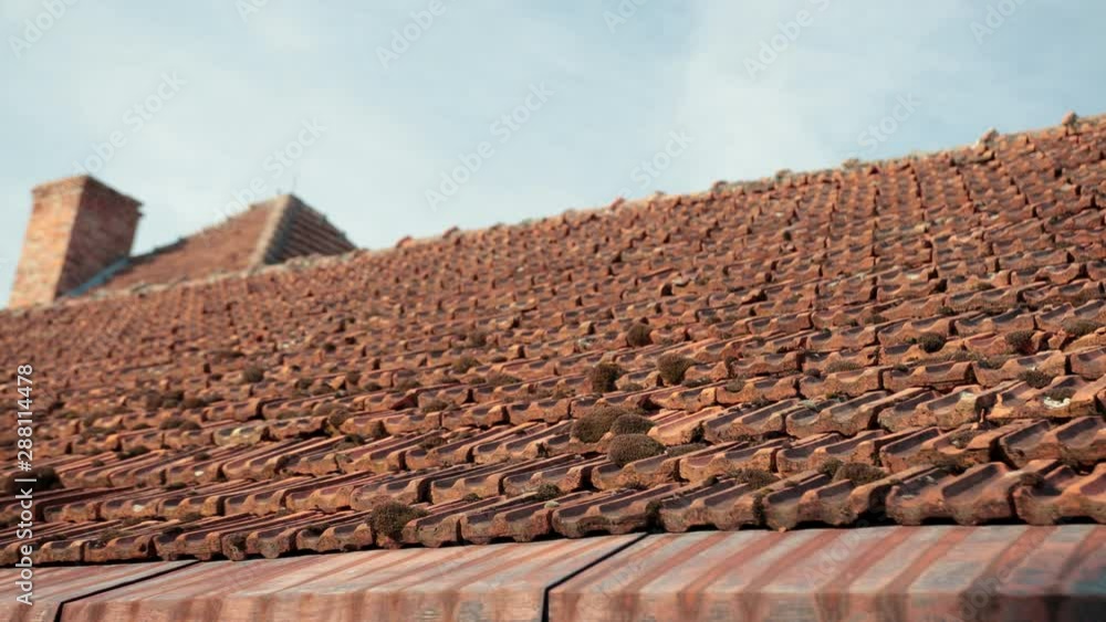 old roof tiles red, overgrown with moss, ancient castle old roof tiles red, overgrown with moss, ancient castle