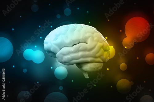 3d illustration Human health brain 