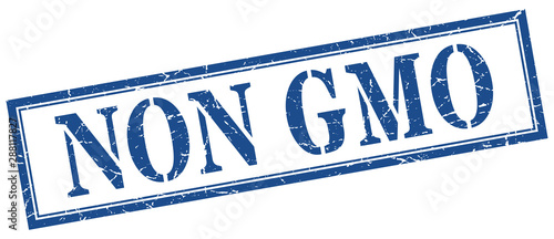 non gmo stamp. non gmo square grunge sign. non gmo