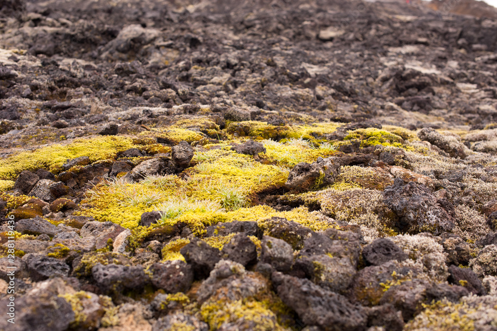 Exotic landscape in the geothermal valley Leirhnjukur. Myvatn region, North part of Iceland, Europe. Exotic landscape in the geothermal valley Leirhnjukur. Myvatn region, North part of Iceland, Europe.