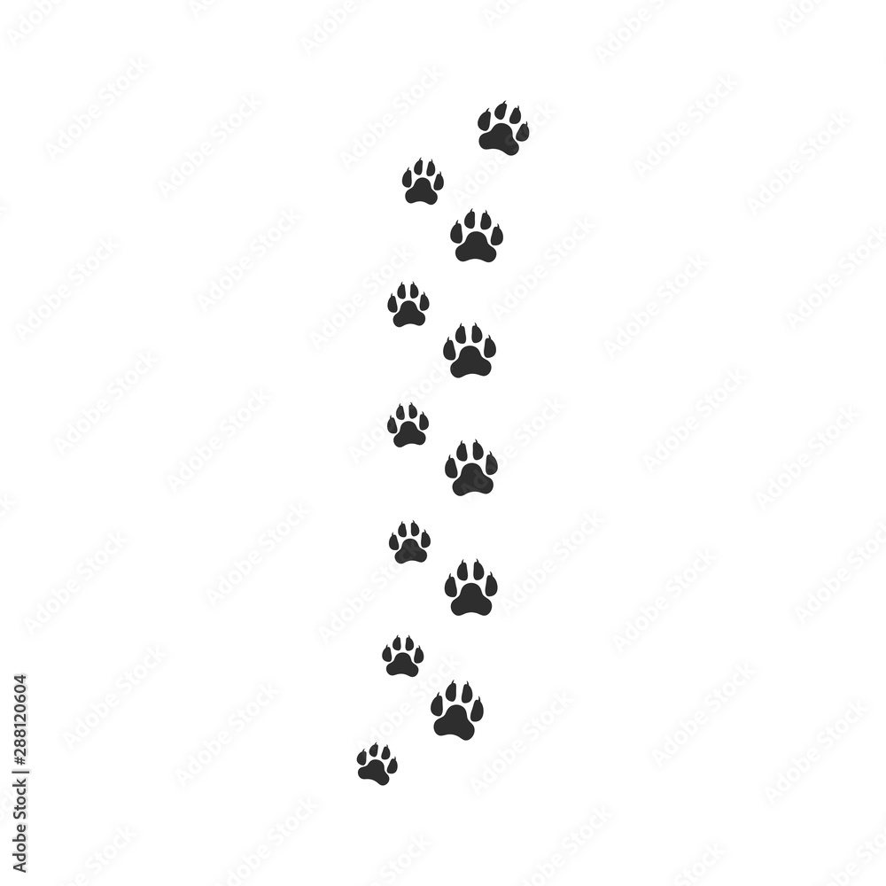 Paw template vector illustration design Paw template vector illustration design