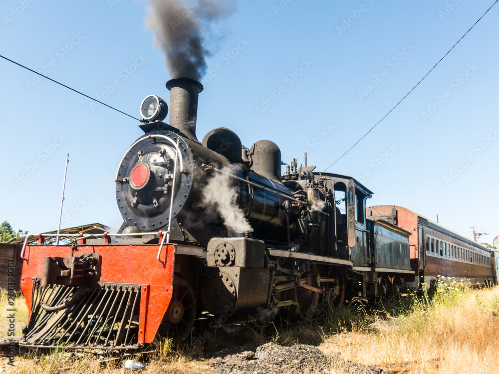 Fototapeta premium Tourist train called Valdiviano that runs from Valdivia to Antilhue with a 1913 North British locomotive type 57. Los Rios Region, in southern Chile.
