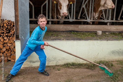 Boy dressed in blue sweeping the floor in front of a cowshed