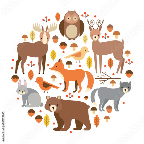 vector set of flat animals. forest dwellers. wolf, fox, deer, elk, bear, rabbit, owl, bird. on an isolated background. zoo cartoon set. plants, berries, mushrooms, fruit