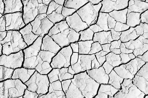 Desert ground. Black and wh...