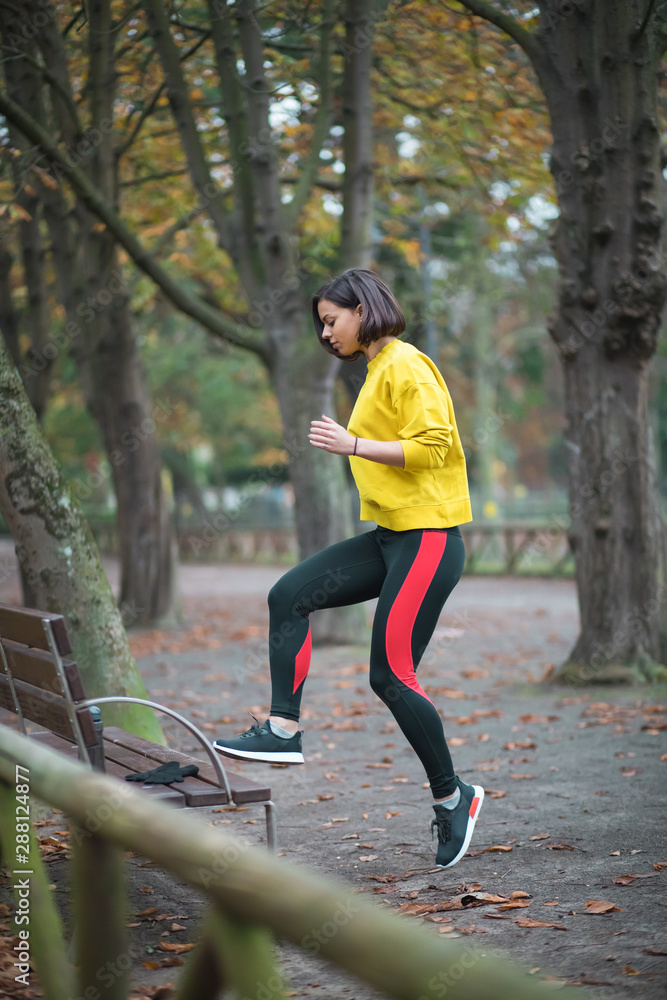 Sporty woman doing toe taps exercise on a city park bench in autumn. Female  athlete exercising outdoor. Stock Photo | Adobe Stock