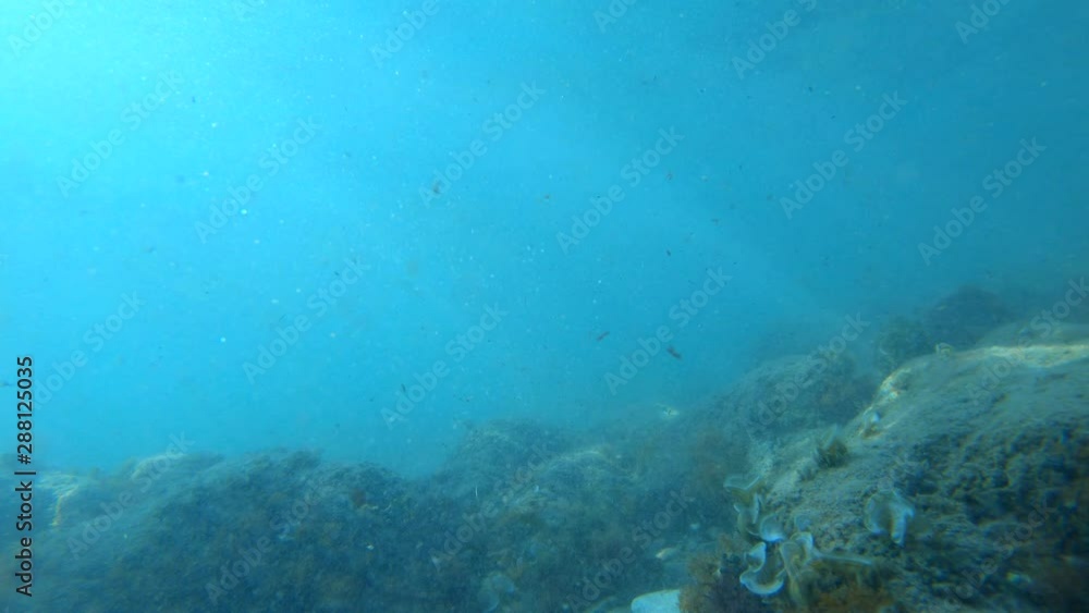 4k underwater diving view of sun reflected on sea floor 4k underwater diving view of sun reflected on sea floor