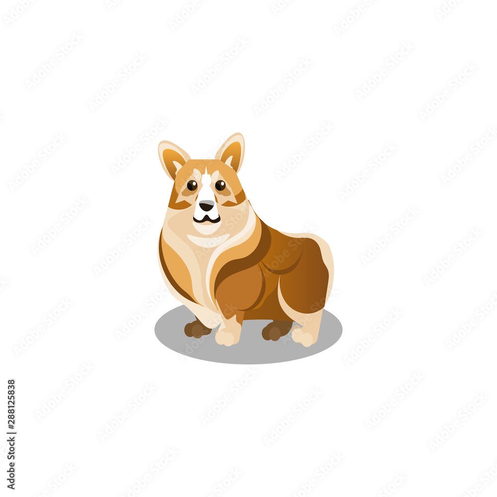 Corgi dog. Raster illustration in flat cartoon style Corgi dog. Raster illustration in flat cartoon style