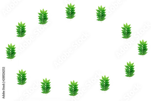 decorative summer frames, collage of natural green leaves on a white background