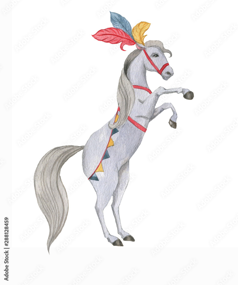 Hand drawn watercolor circus elephant in costume. Isolated animal ...