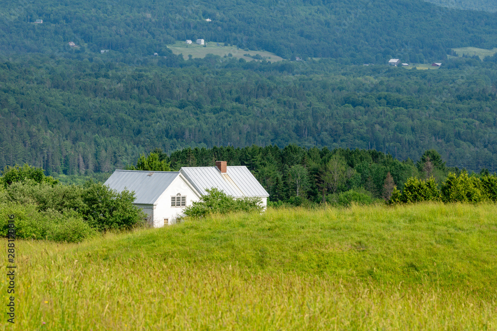 House in the Field