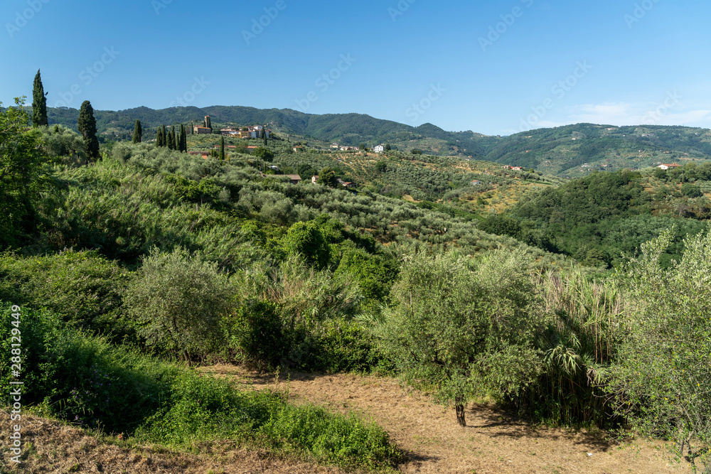 Rural landscape from Buggiano Castello, Tuscany