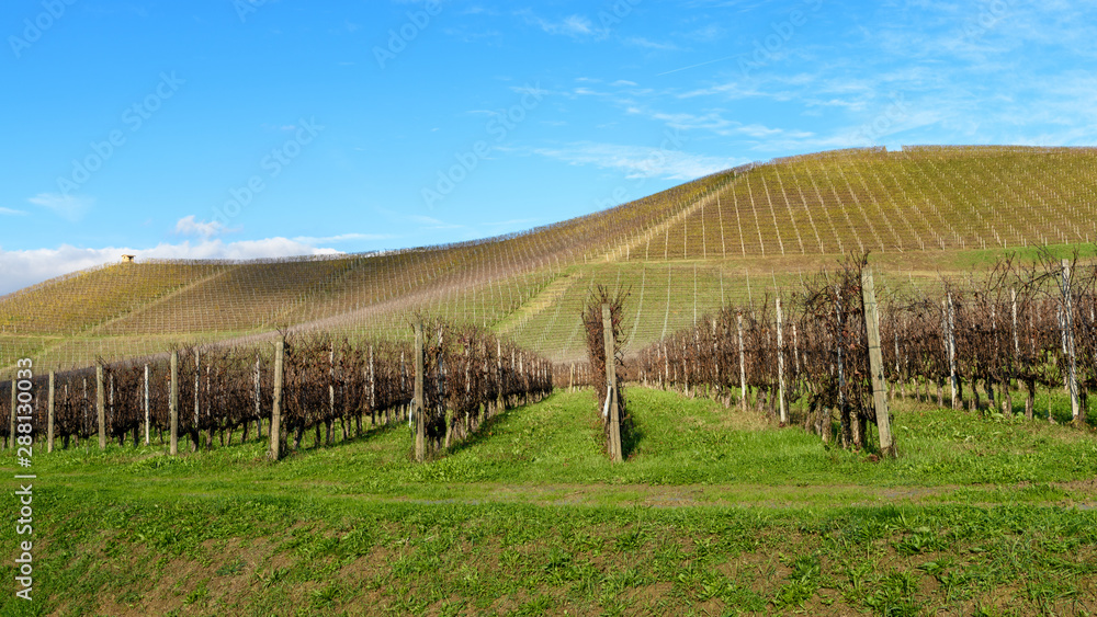 Piemonte Langhe vigne e Castello di Grinzane Cavour