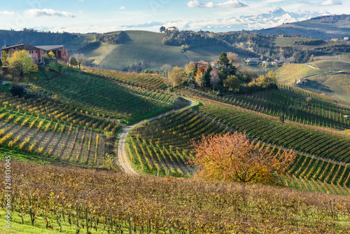 Piemonte Langhe vigne e Castello di Grinzane Cavour