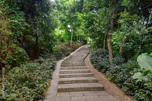 Stone stairs in a tropical park