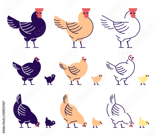 Chickens flat vector illustrations set. Multicolor chicks, hens and and rooster pecking cartoon design elements with outline. Chicken meat production, bird breeding. Poultry farm, animal husbandry