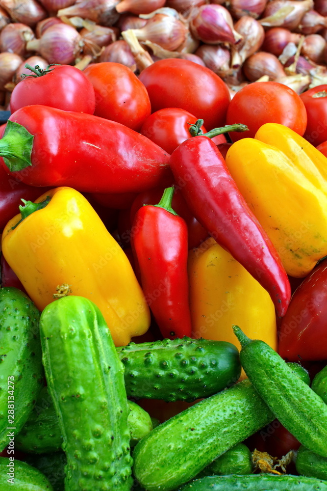 Green cucumbers, large red and yellow sweet peppers, red ripe tomatoes and bulbs onion in large quantities on the shelves store. Close up. Vegetable background