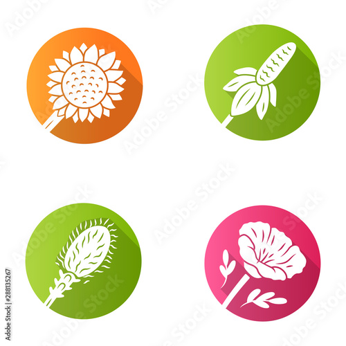 Wild flowers flat design long shadow glyph icons set. Helianthus, California poppy, mexican hat, liatris. Blooming wildflowers, field weed. Spring blossom. Vector silhouette illustration