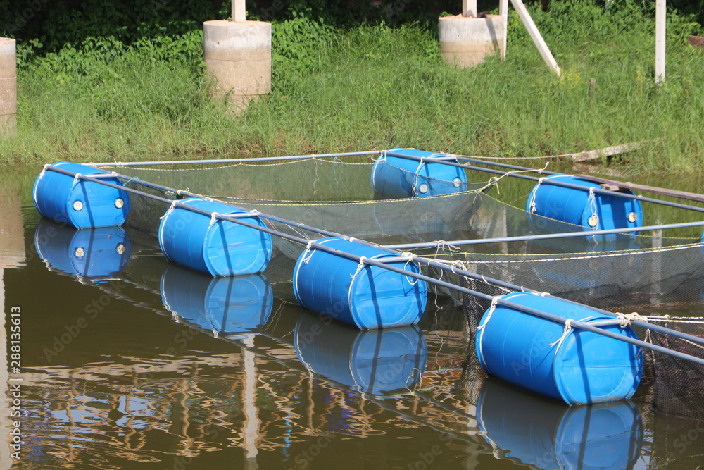 Cages to feed the pomegranate fish. Raising pomegranate fish Cages to feed the pomegranate fish. Raising pomegranate fish