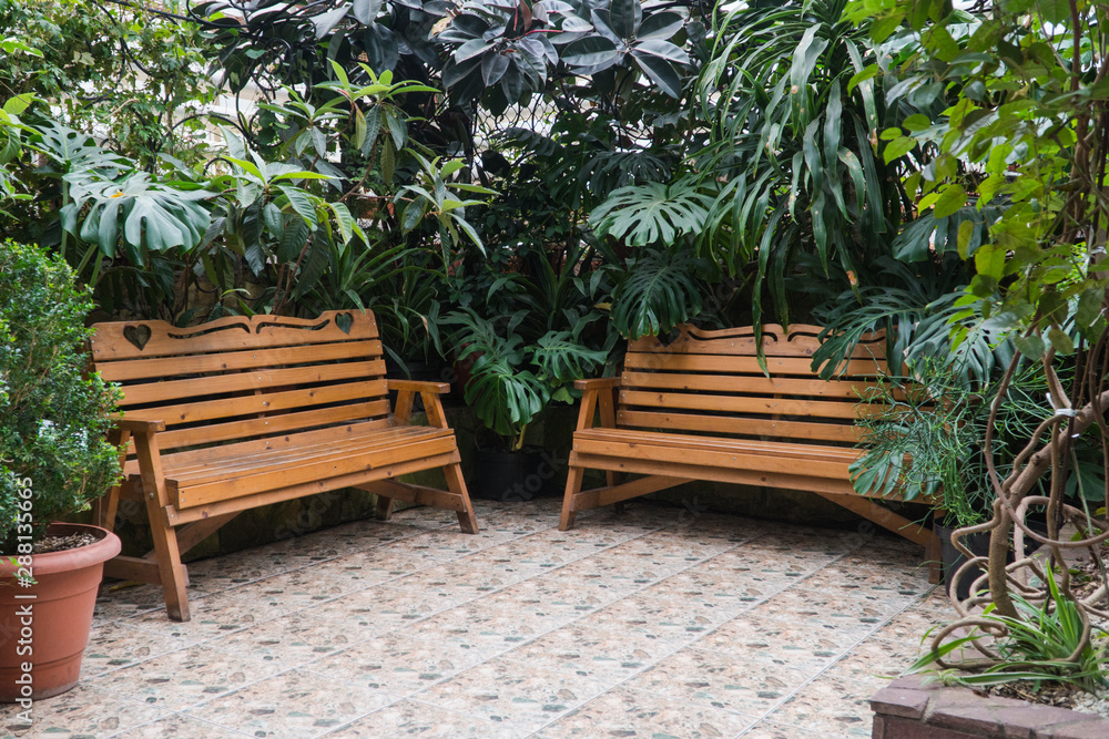 Obraz premium bench in the Botanical greenhouse. tropical decorative orangery