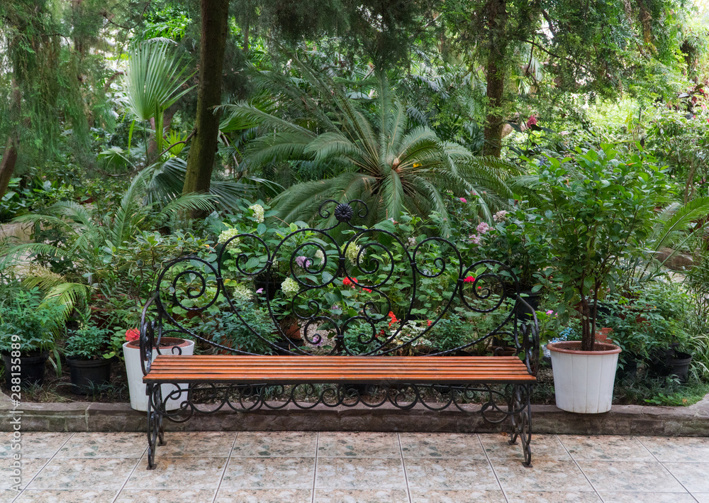 Fototapeta premium bench in the Botanical greenhouse. tropical decorative orangery