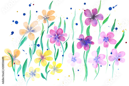 Hand drawn colorful watercolor field flowers, leaves and color splashes on white background. Flower pattern print.