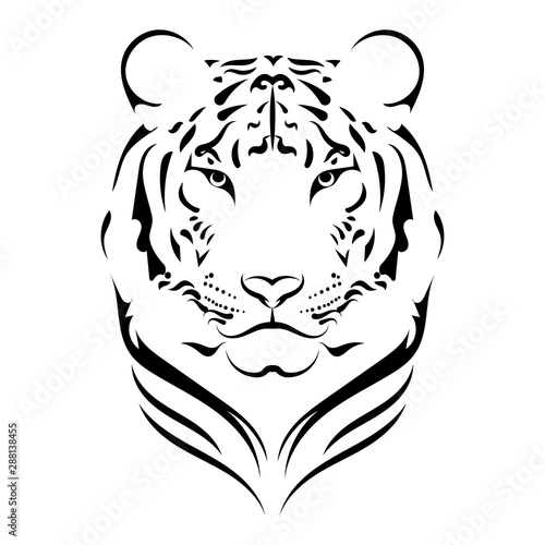 Photography Tiger logo